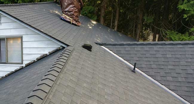 SERVICES_roofleakrepairs.jpg